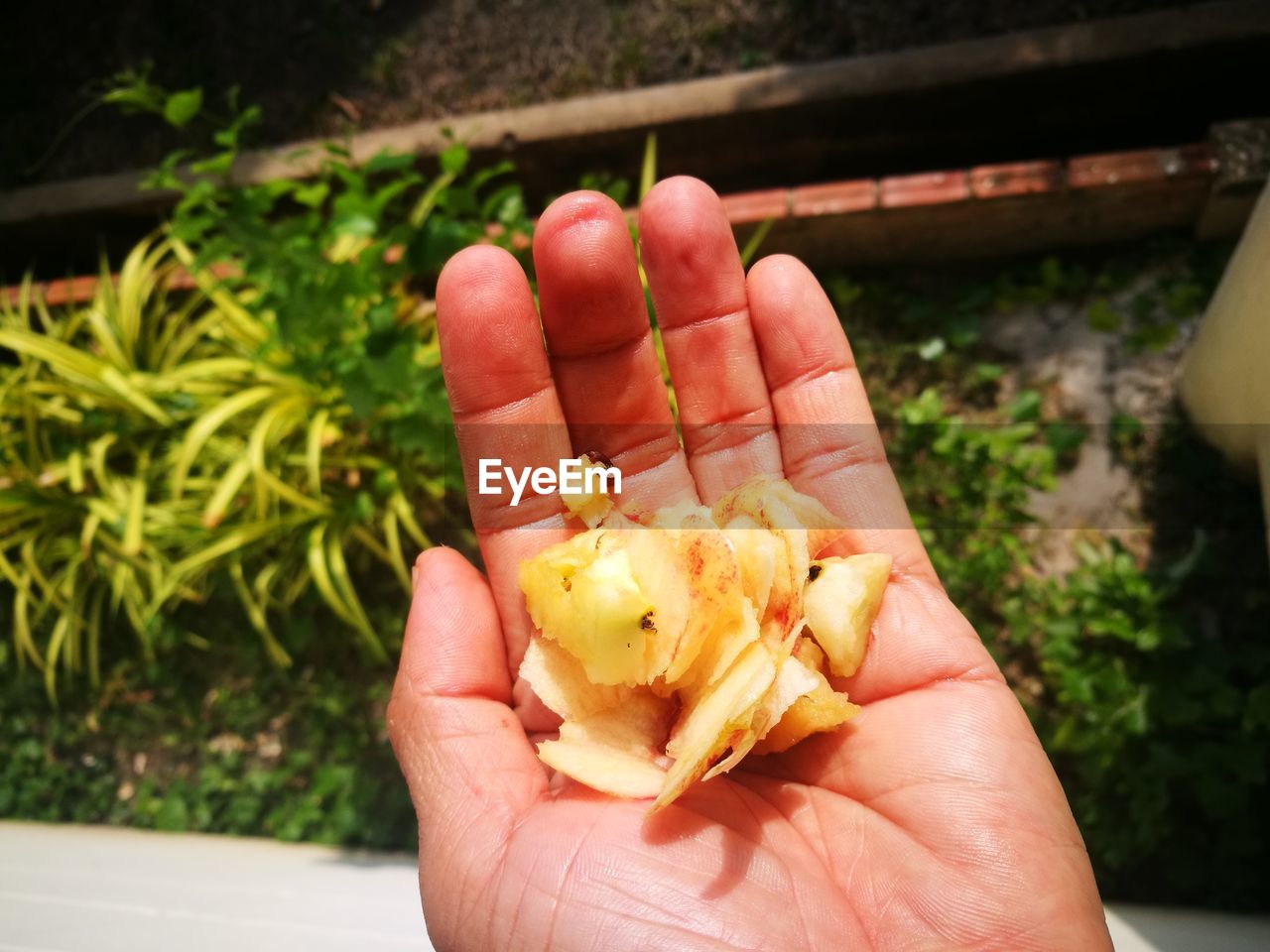 CLOSE-UP OF A HAND HOLDING FOOD