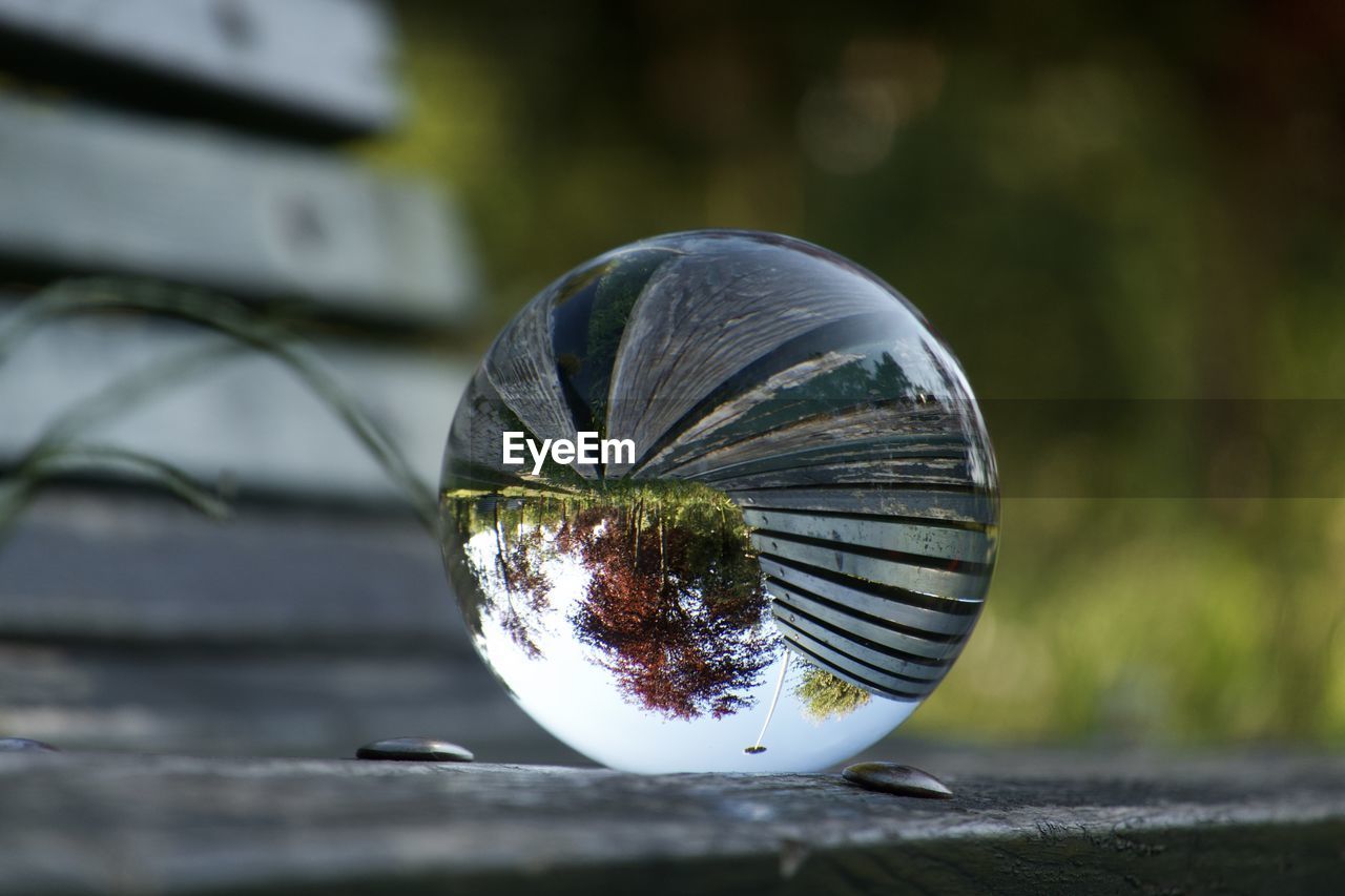 macro photography, close-up, green, leaf, sphere, no people, water, reflection, nature, blue, outdoors, focus on foreground, glass, day, selective focus, wood, single object, plant, food, light, food and drink, crystal ball, flower