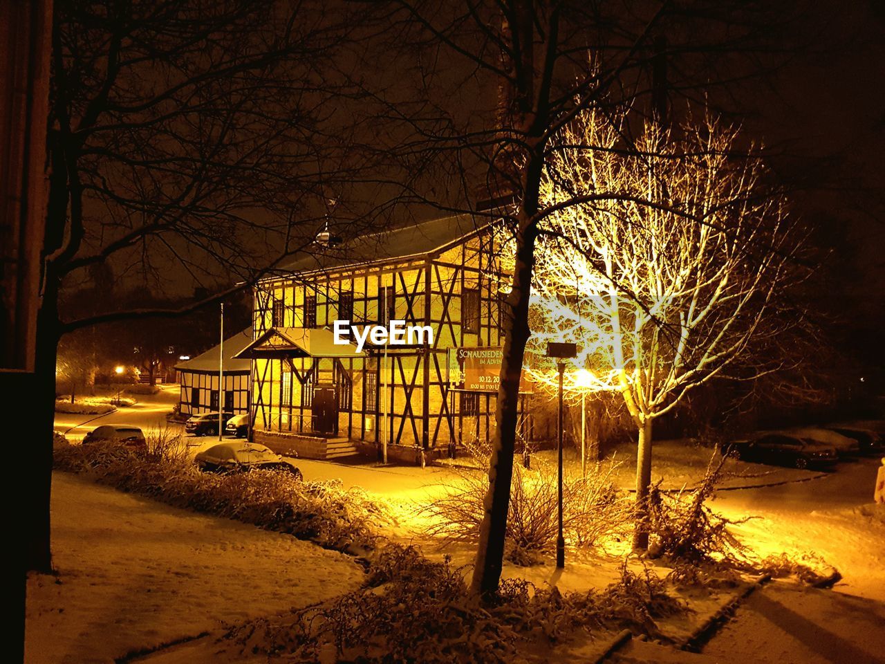 BARE TREES AGAINST ILLUMINATED BUILDING DURING WINTER