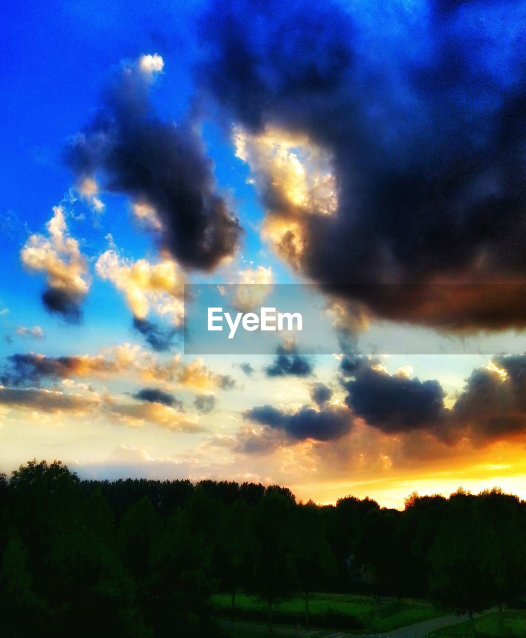 TREES ON FIELD AGAINST CLOUDY SKY