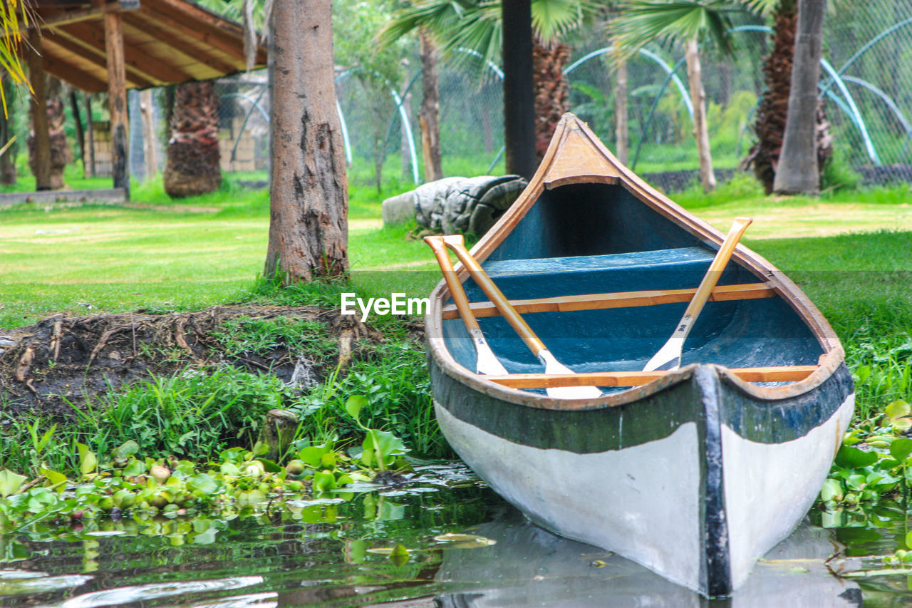 Boat  on land against trees