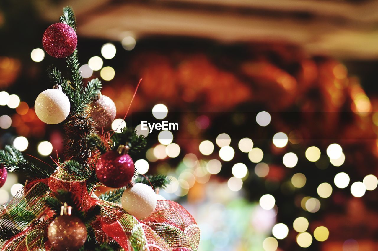 Close-up of christmas tree against illuminated lights