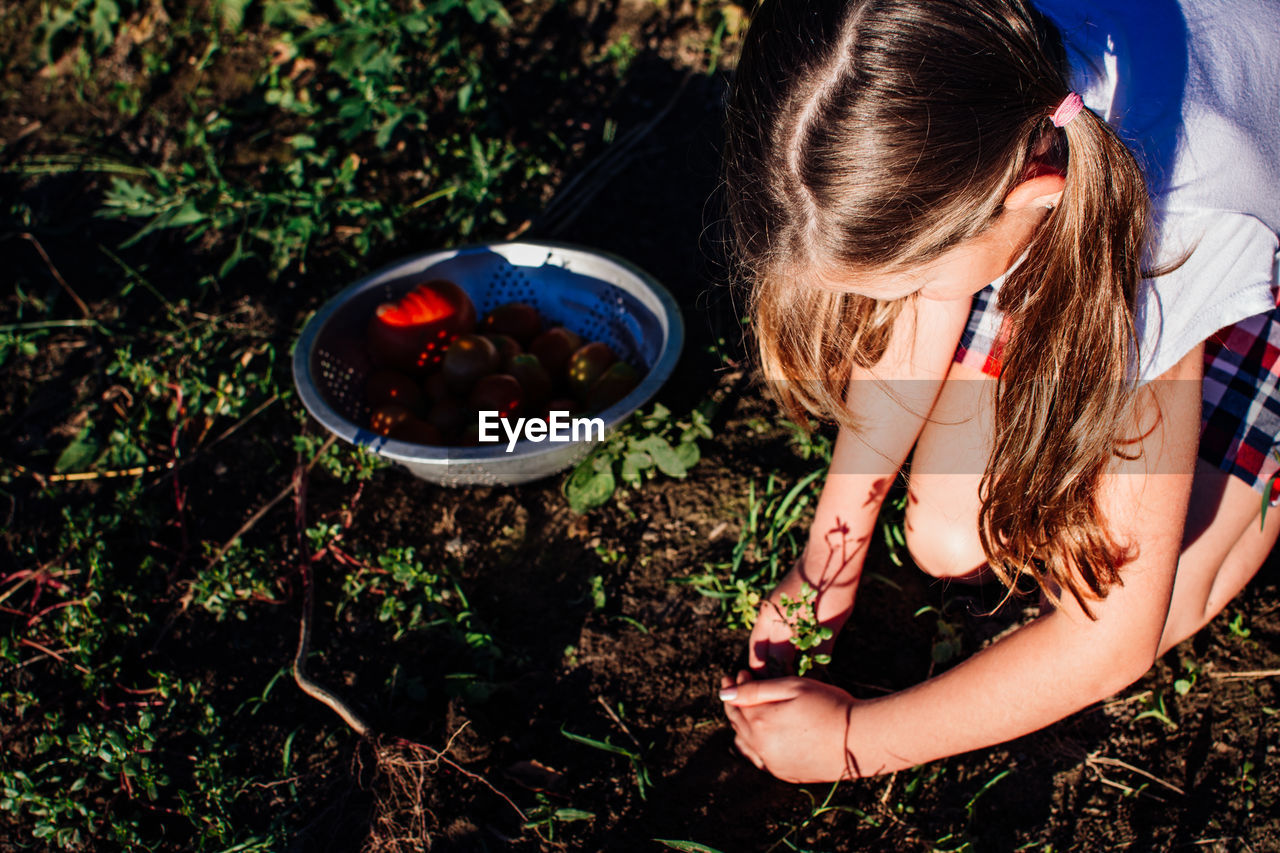 High angle view of girl planting saplings on field