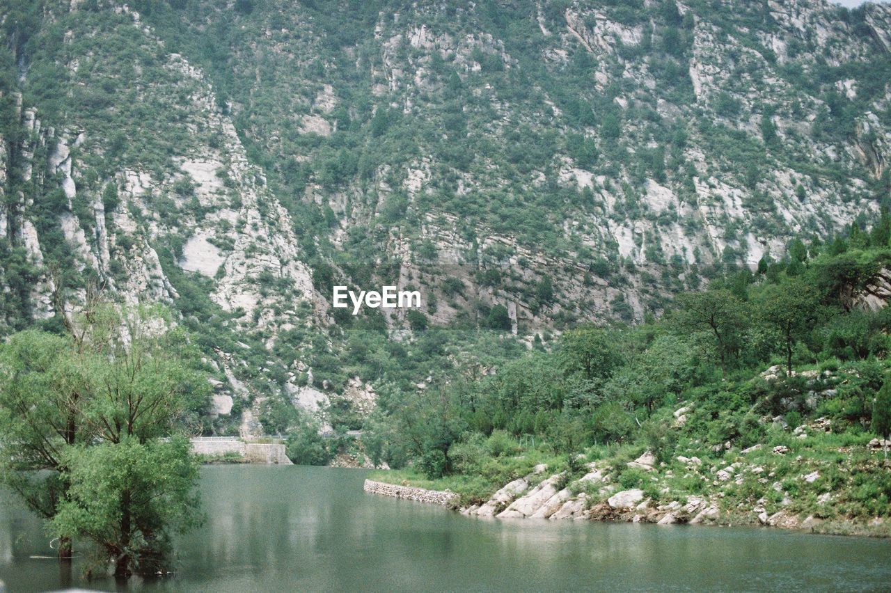 SCENIC VIEW OF RIVER BY TREES IN FOREST