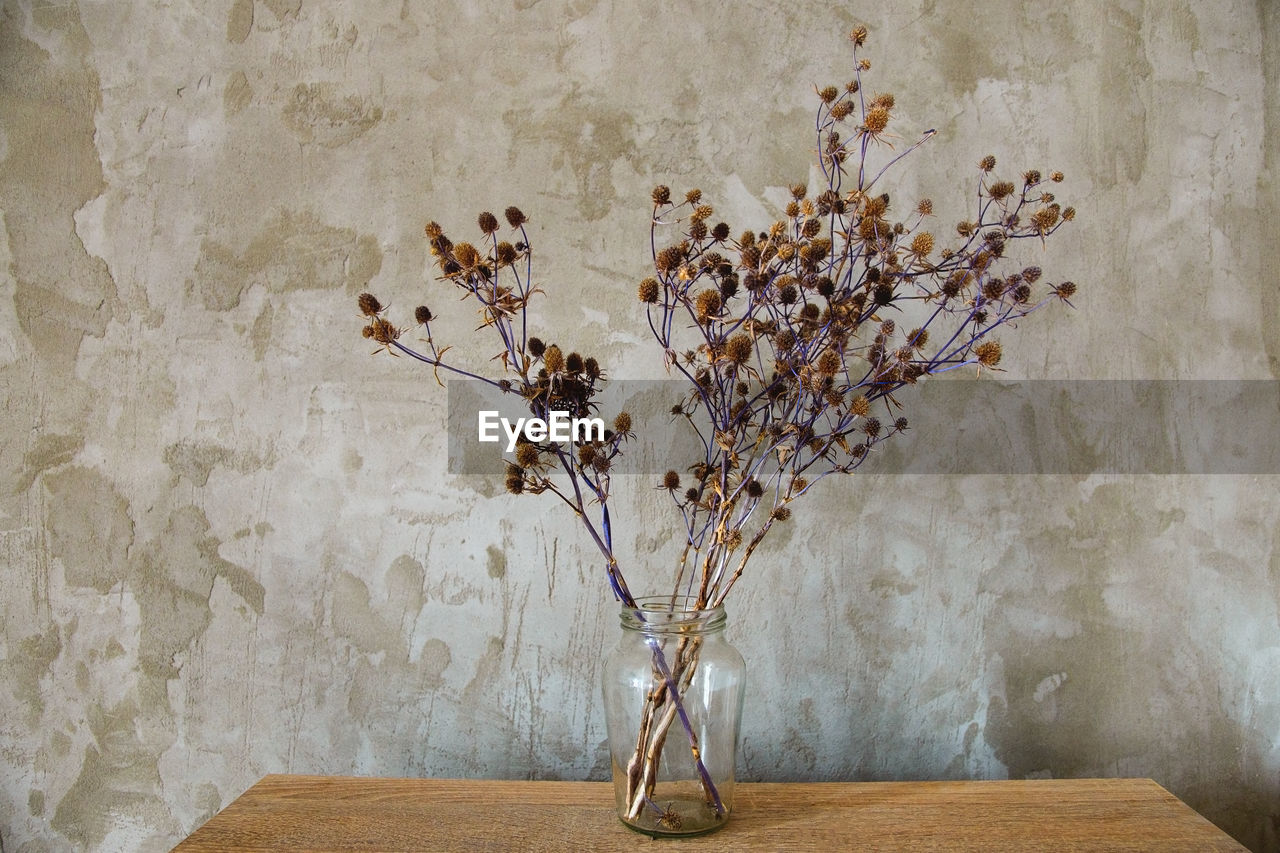 Bouquet of dried wild flowers on the background of a concrete wall 