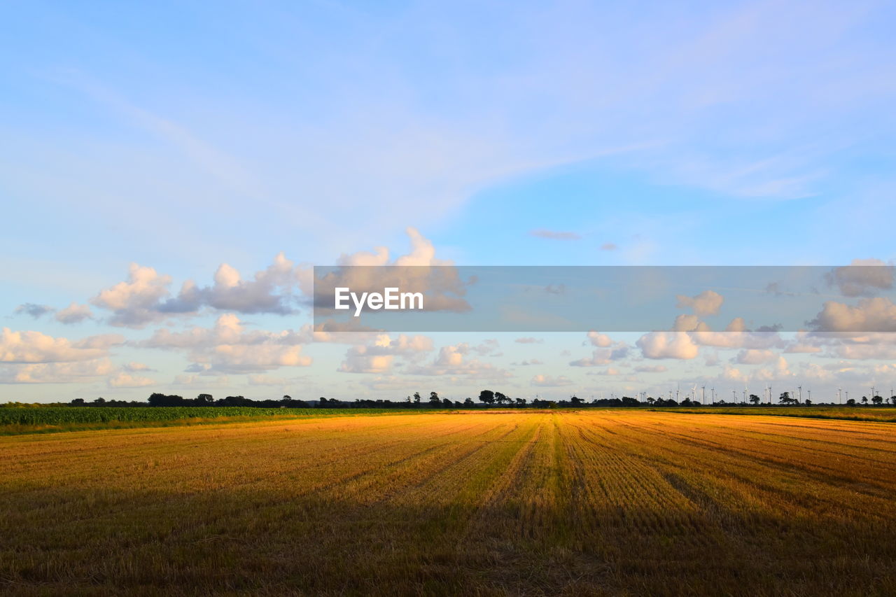 SCENIC VIEW OF AGRICULTURAL FIELD AGAINST SKY DURING SUNSET