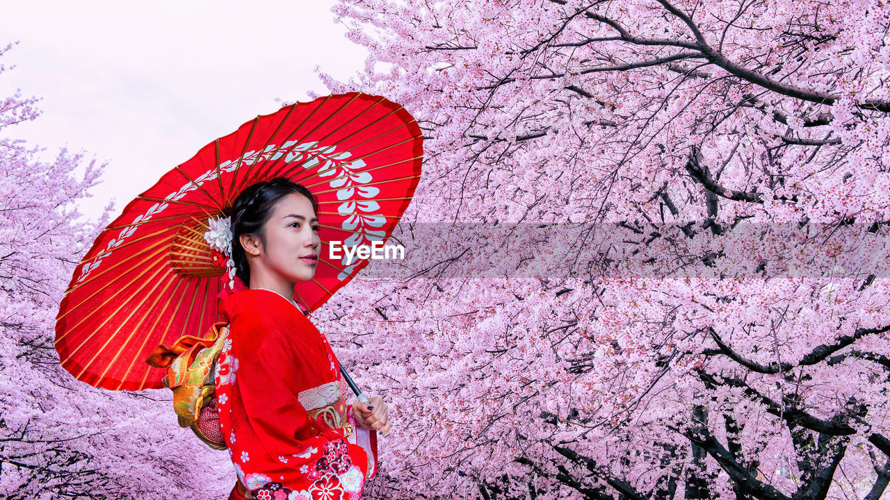 Woman in traditional clothes holding umbrella against cherry blossoms