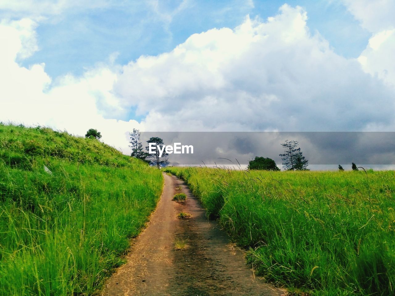 SCENIC VIEW OF FARM AGAINST SKY