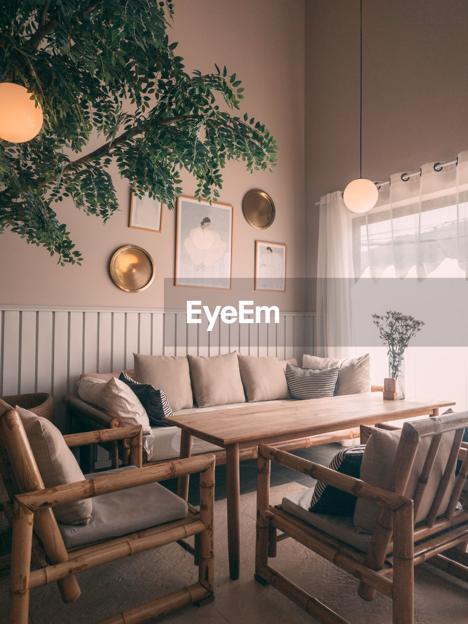 Potted plant on table at home