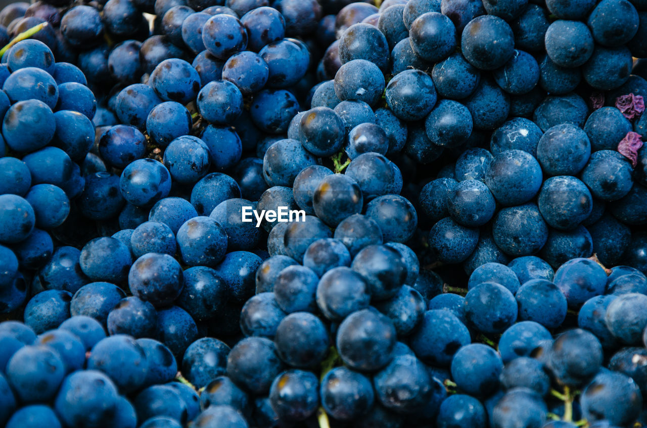 Full frame shot of blueberry