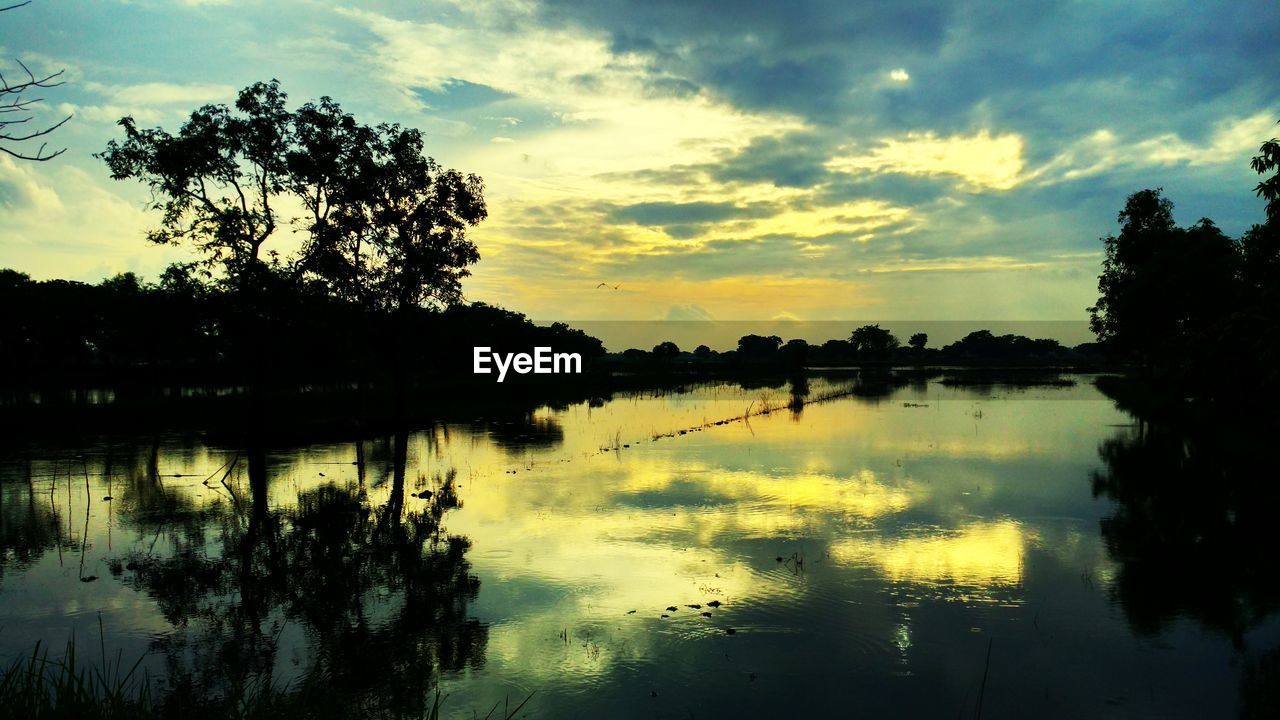 REFLECTION OF SILHOUETTE TREES IN LAKE AGAINST SKY