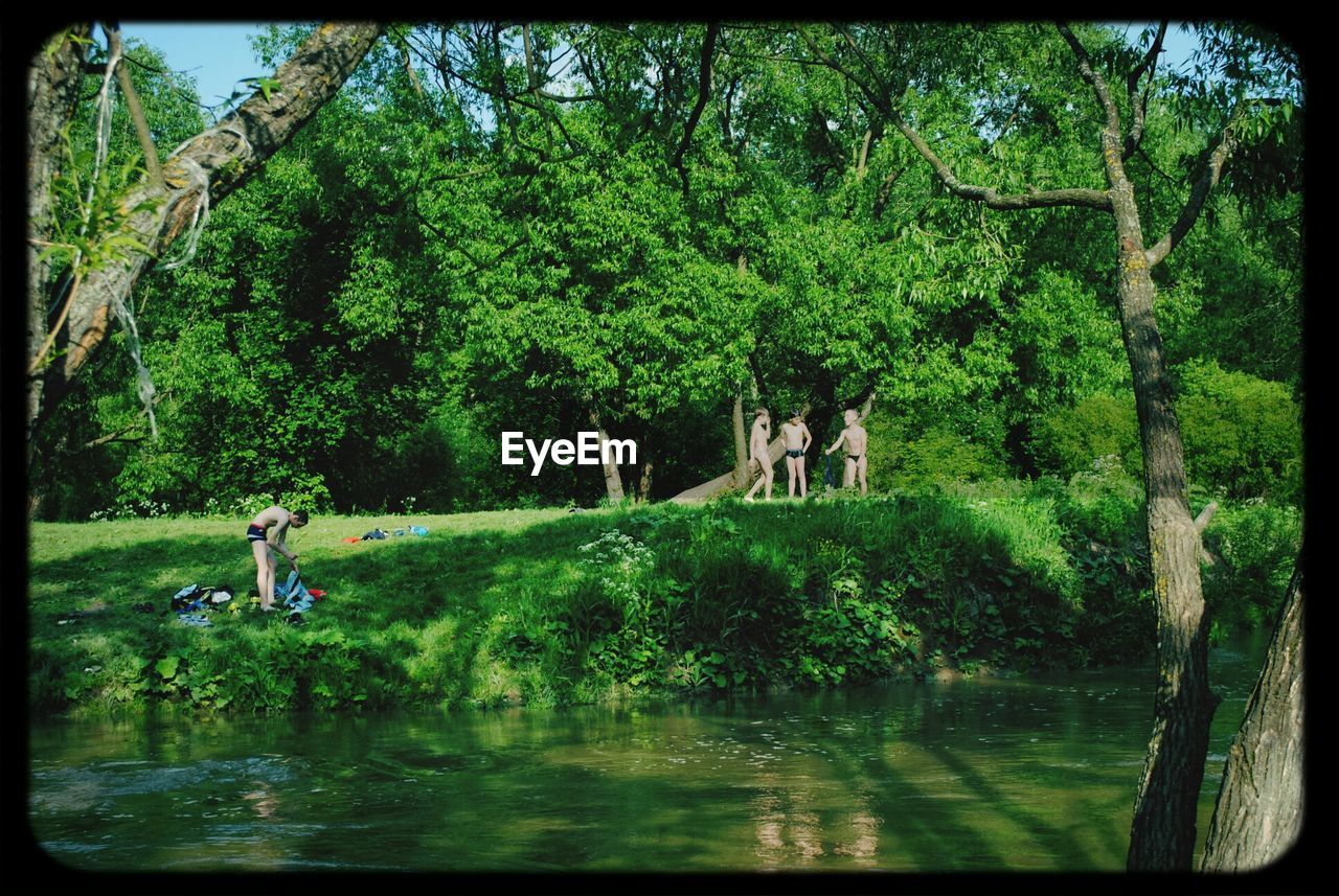 VIEW OF TREES IN POND