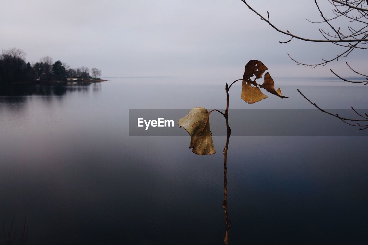 VIEW OF LAKE AGAINST SKY