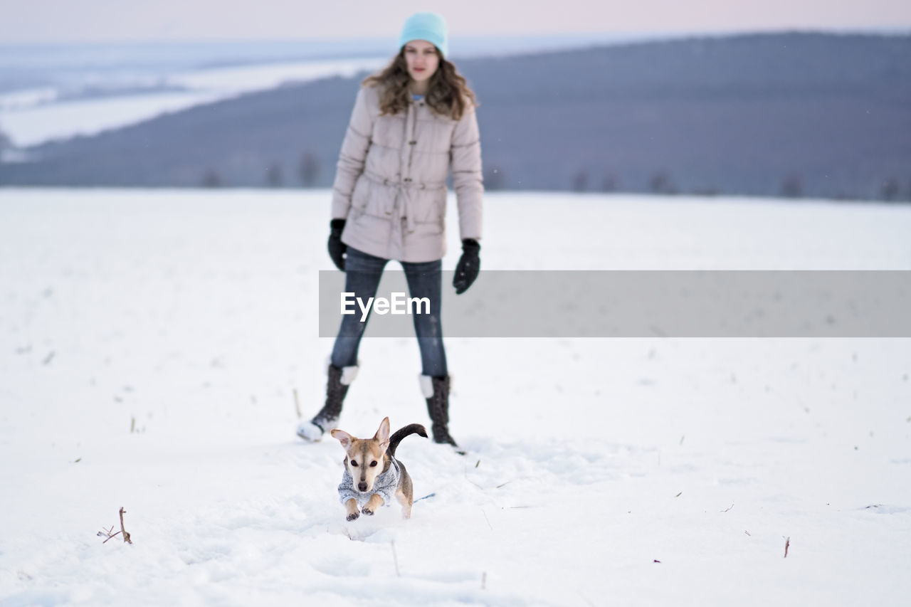 Girl walks the small dog in woolen clothes in the snow during winter time