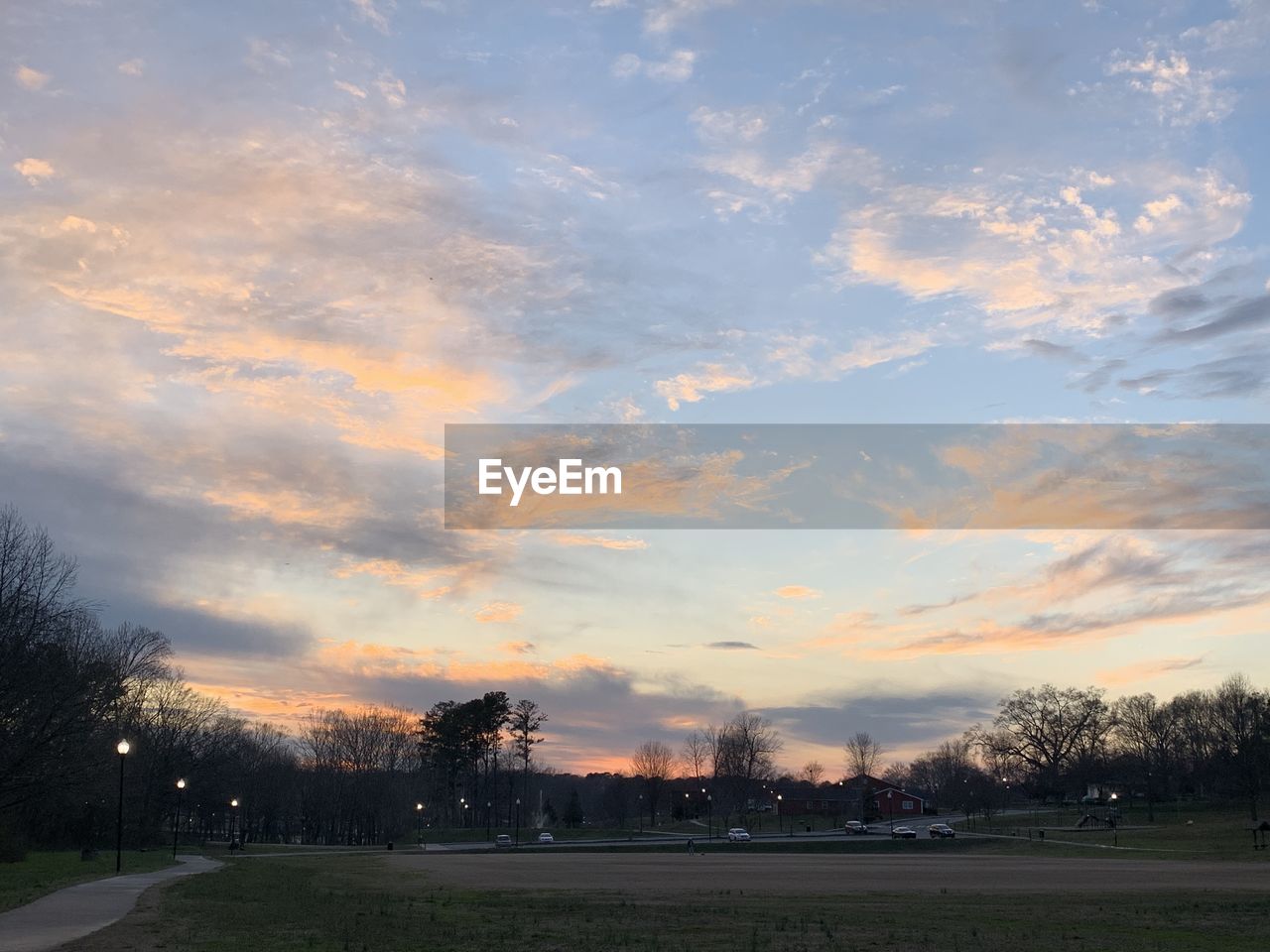 TREES ON FIELD AGAINST SKY DURING SUNSET