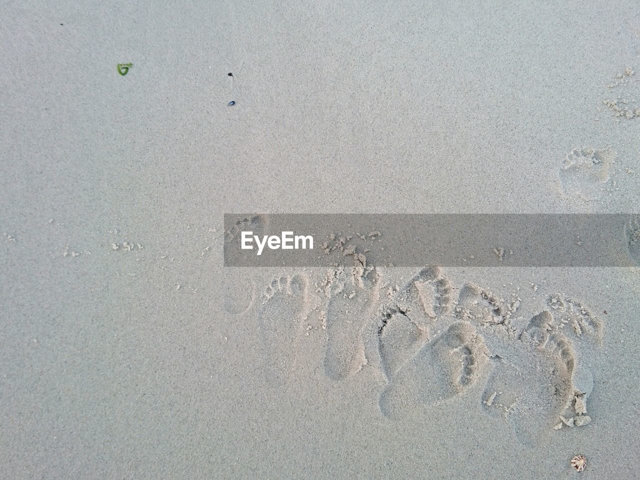 High angle view of footprint on sand at beach