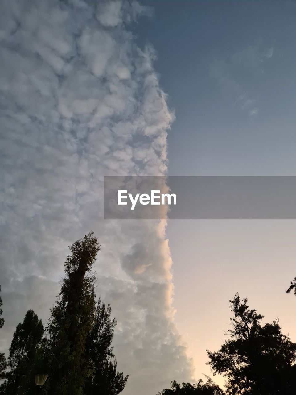 sky, cloud, tree, plant, nature, beauty in nature, environment, sunlight, no people, outdoors, scenics - nature, morning, tranquility, pinaceae, cloudscape, landscape, forest, silhouette, coniferous tree, fog, pine tree, dramatic sky, land, travel