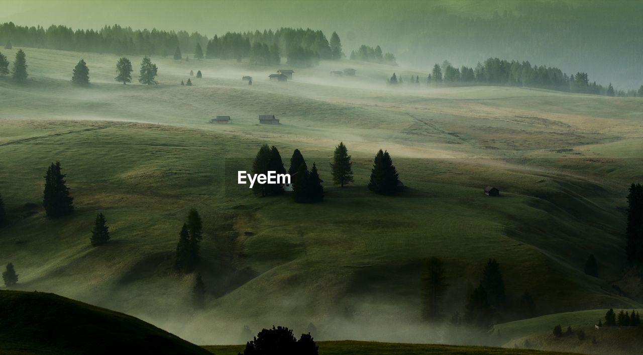 Scenic view of snowy field during foggy weather