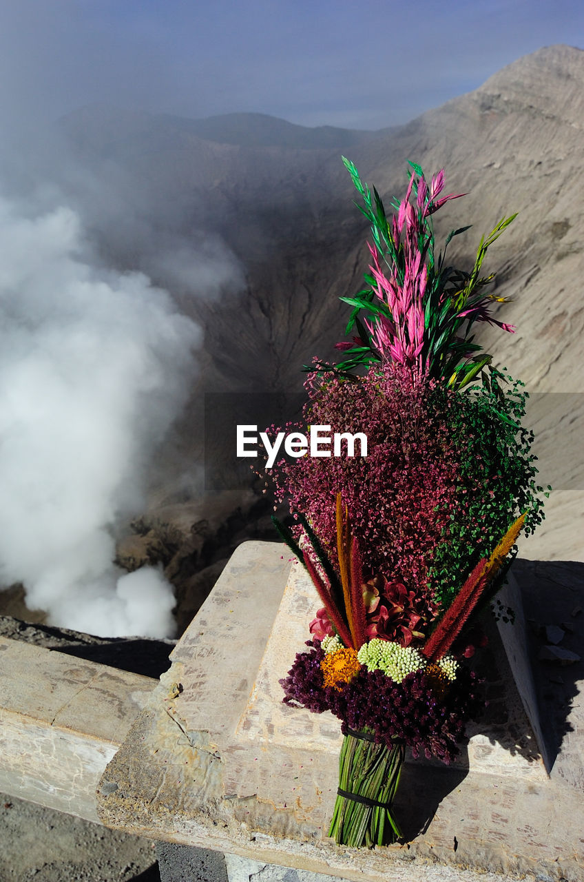 Close-up of bouquet with smoke emitting volcano in background