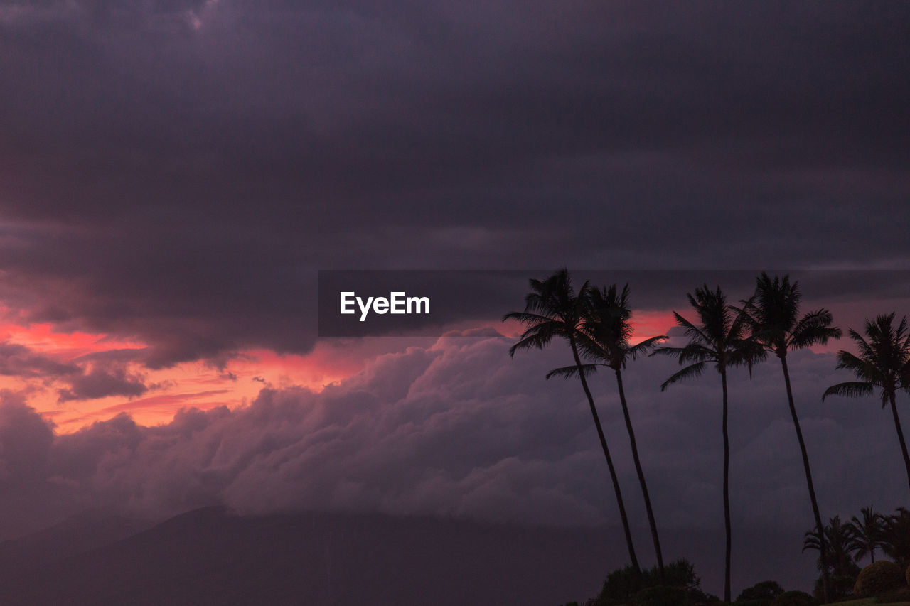 Beautiful scenes of hawaii  
