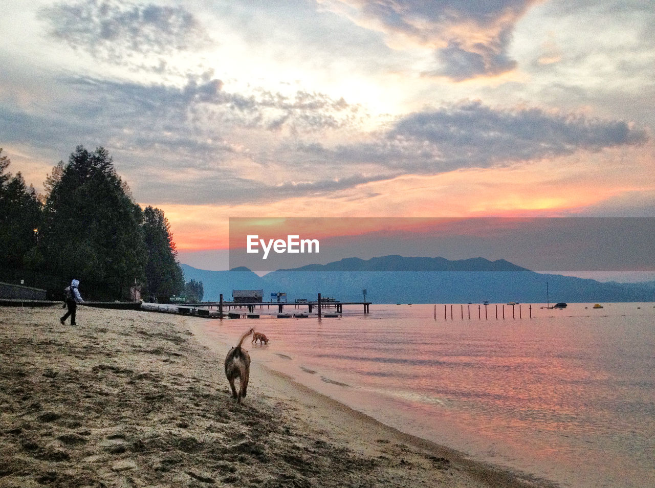 SCENIC VIEW OF SEA AT SUNSET