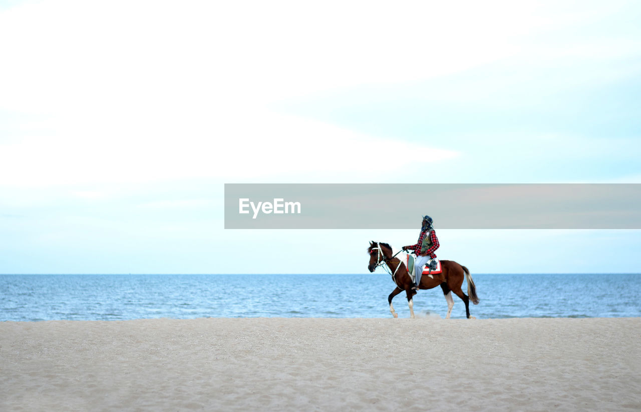 PEOPLE RIDING HORSE ON BEACH