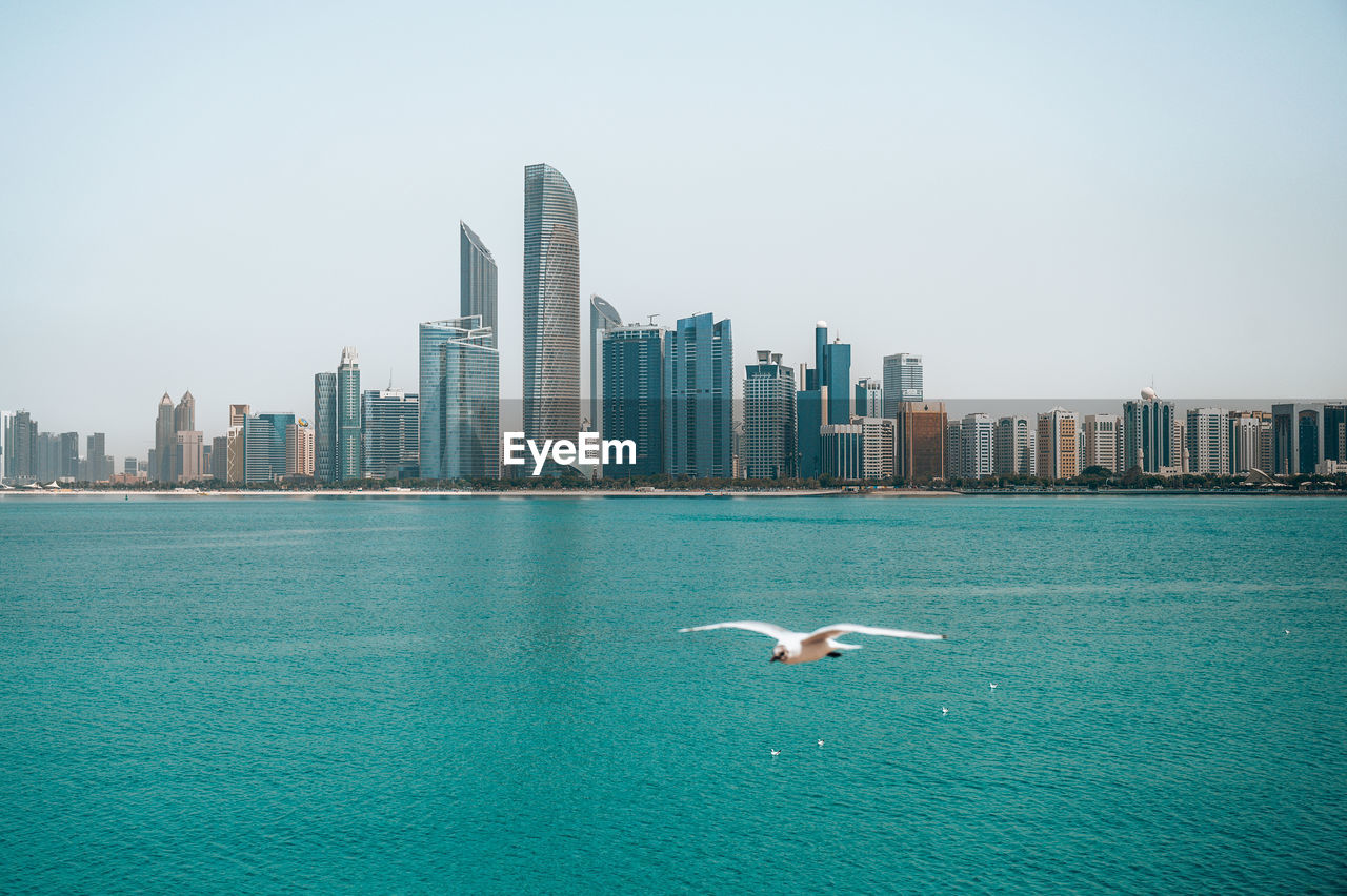 Seagulls flying over sea against clear sky