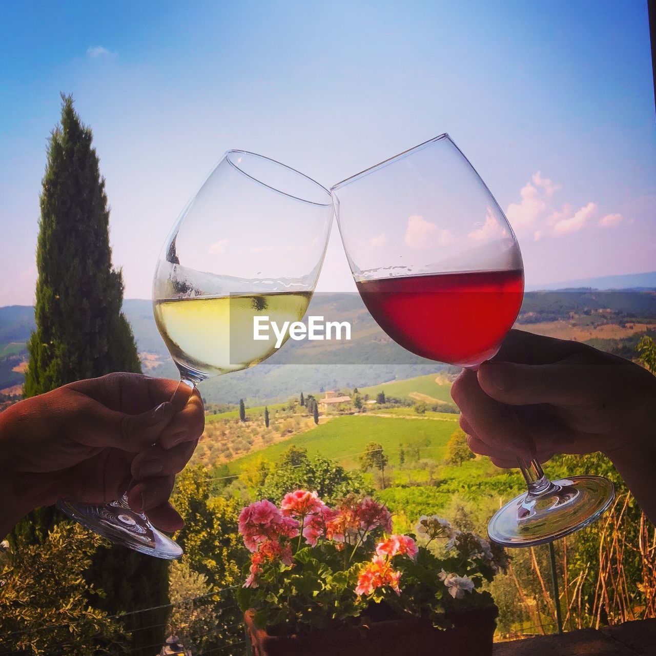 People holding drinks against sky