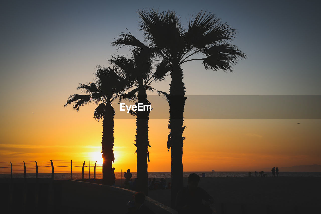 Silhouette palm trees on beach against sky during sunset