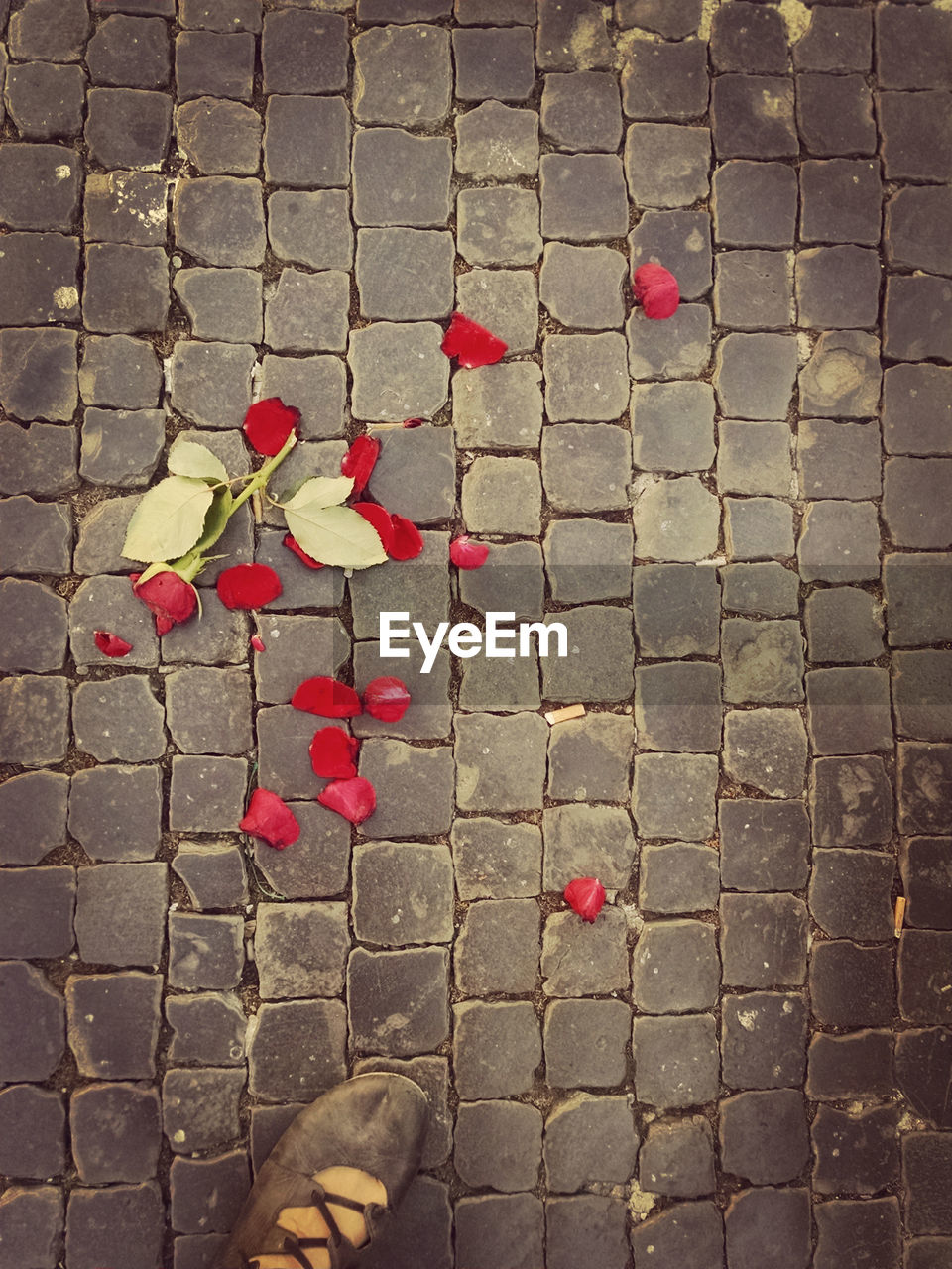 LOW SECTION OF PERSON WITH RED FLOWER ON COBBLESTONE