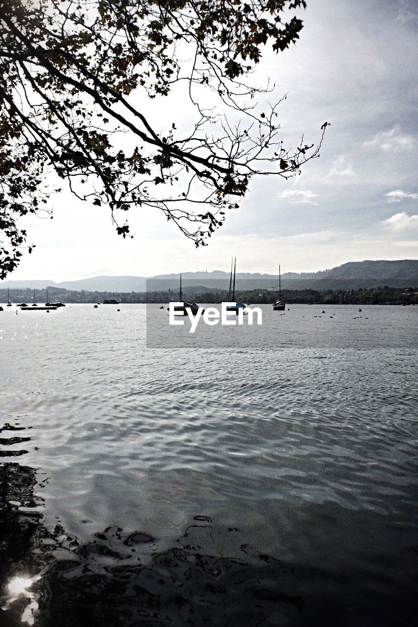 Boats in a river