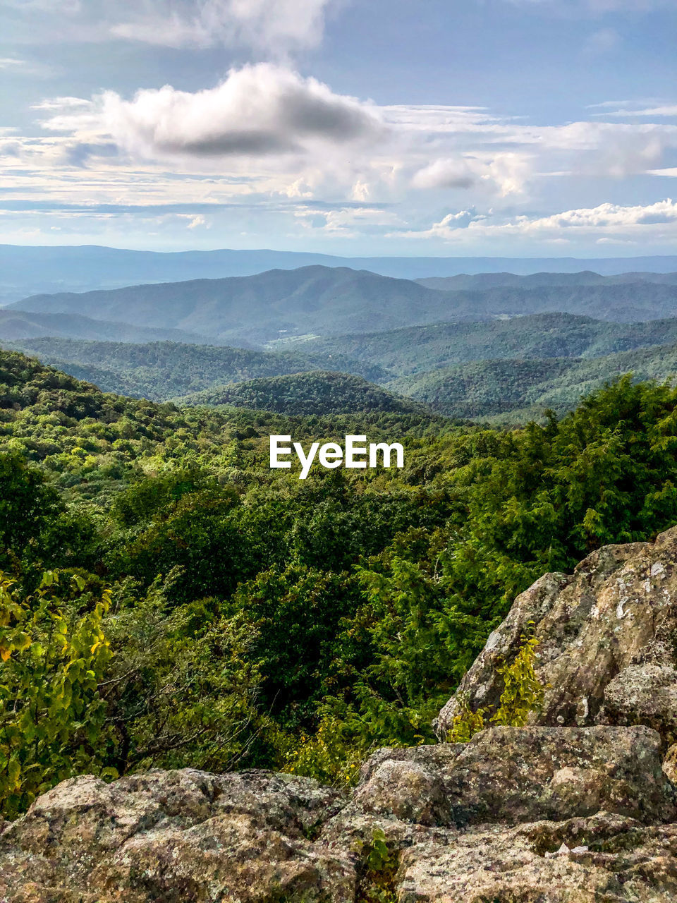 SCENIC VIEW OF TREES AND LANDSCAPE AGAINST SKY