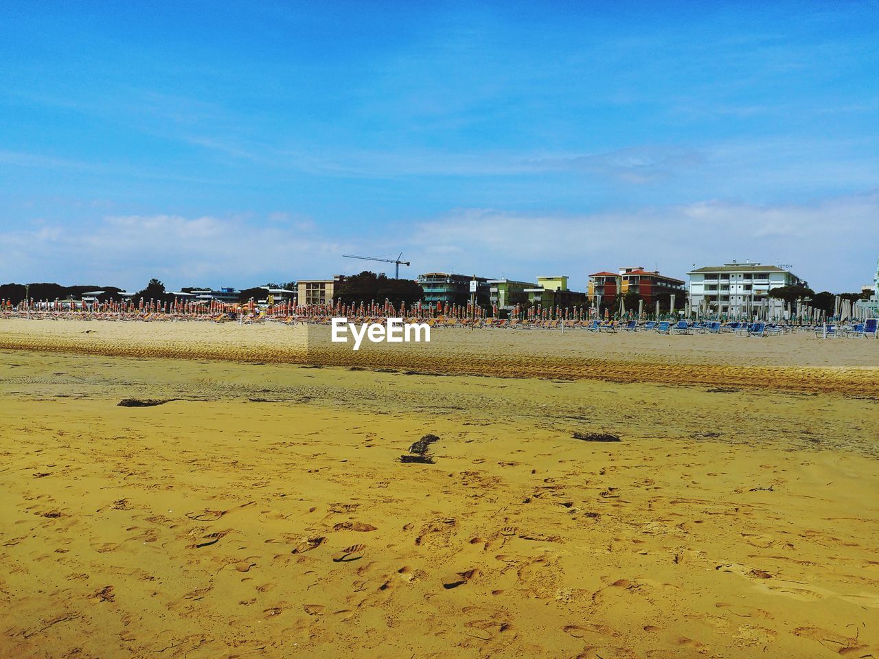 SCENIC VIEW OF BEACH