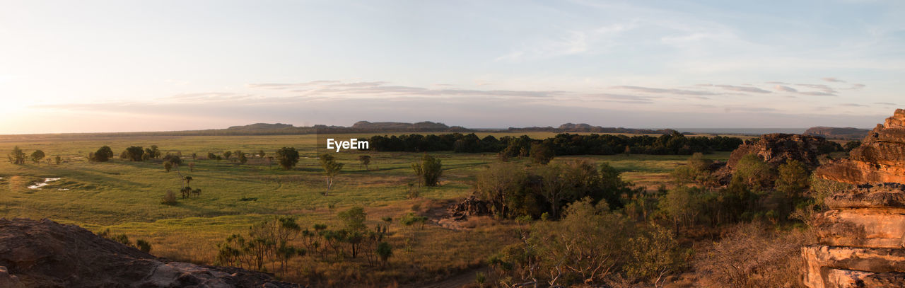 SCENIC VIEW OF FARM AGAINST SKY