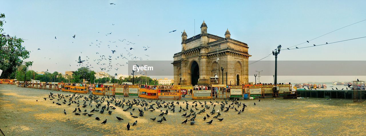 BIRDS IN CITY AGAINST SKY