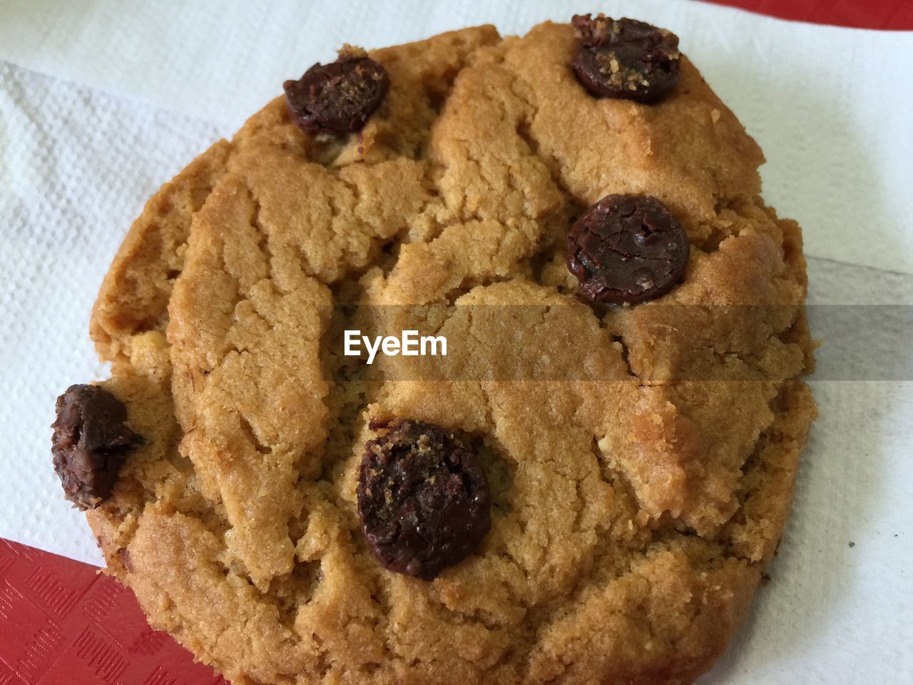 Close-up of cookie