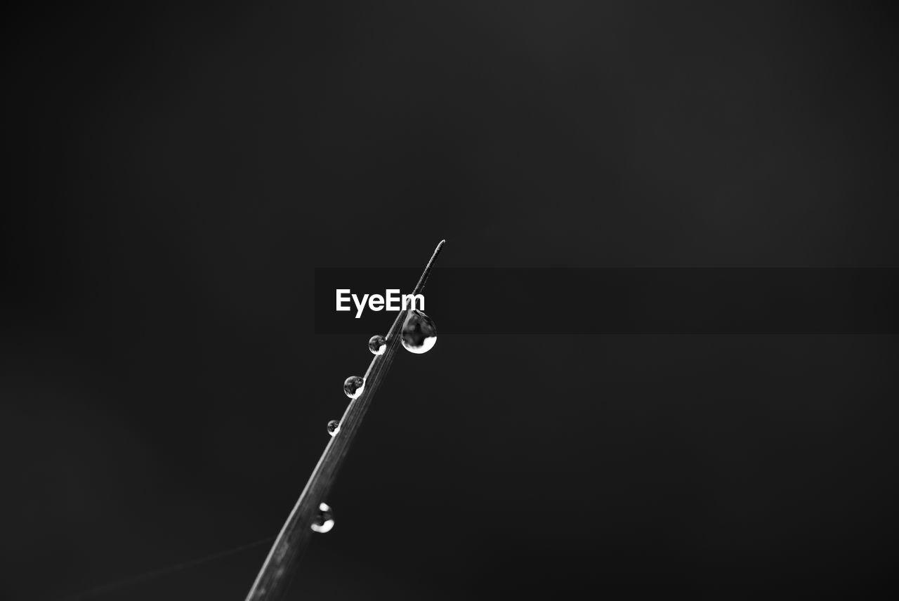 LOW ANGLE VIEW OF MOON