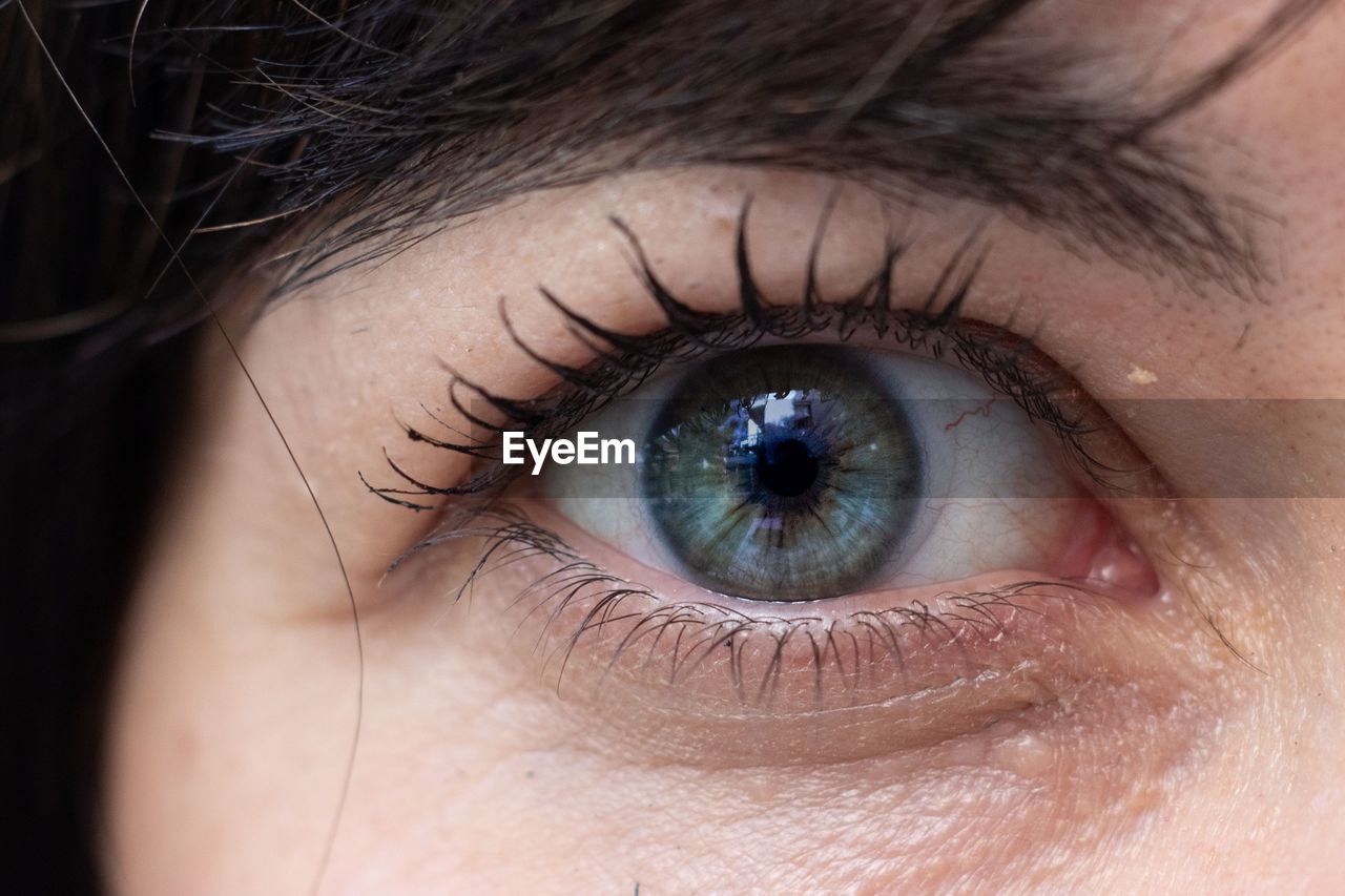 Close-up portrait of woman eye