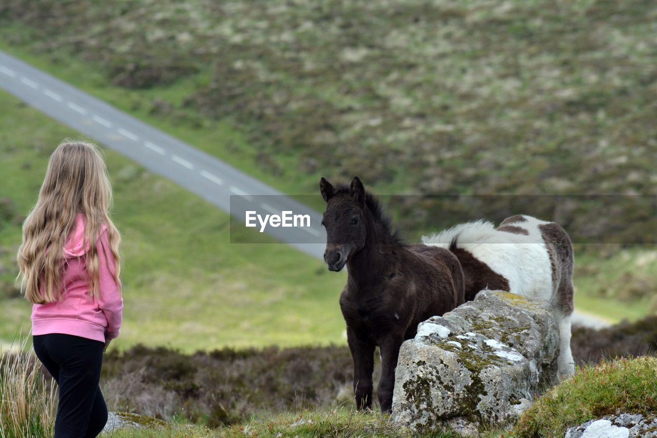 Girl and a horse