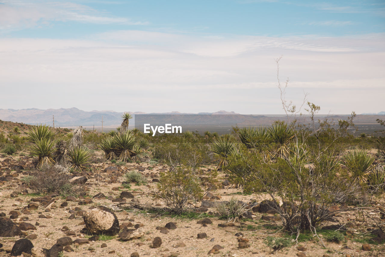 Scenic view of desert against cloudy sky