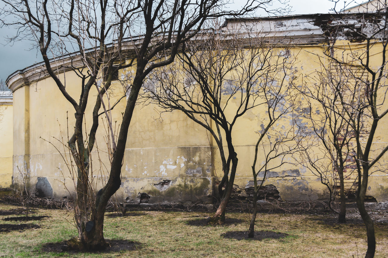 Bare trees on field against buildings