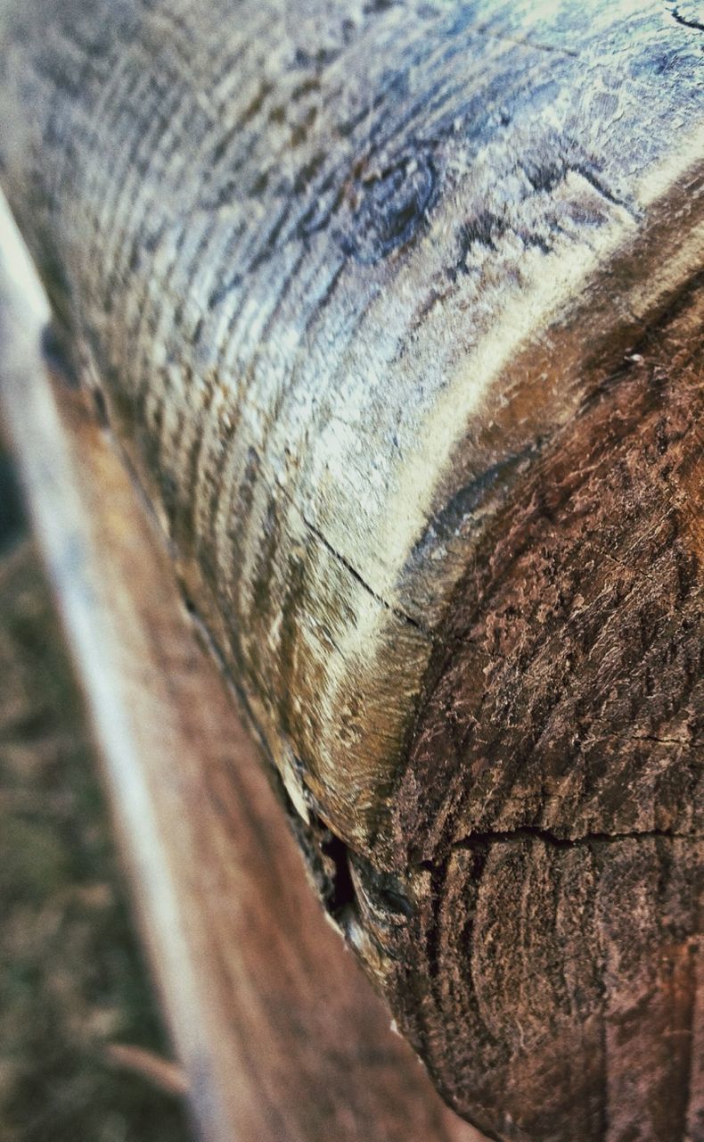 Close-up of wood in field