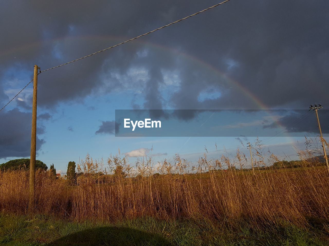 LOW ANGLE VIEW OF SKY OVER LAND