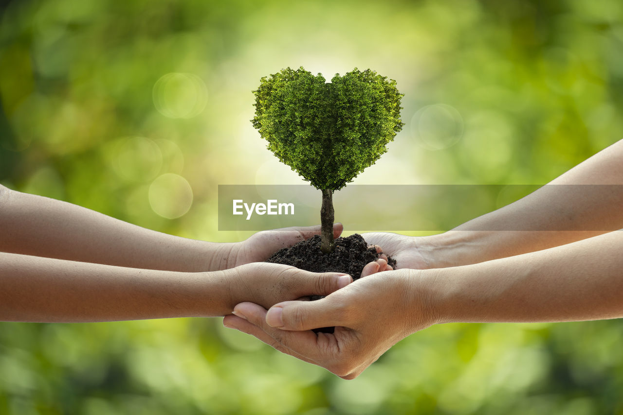 CLOSE-UP OF HAND HOLDING LEAF