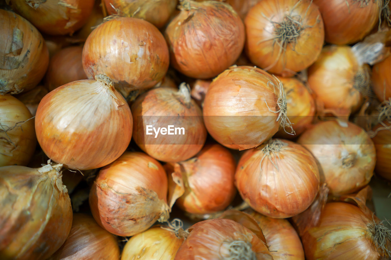 FULL FRAME SHOT OF PUMPKINS AT MARKET STALL