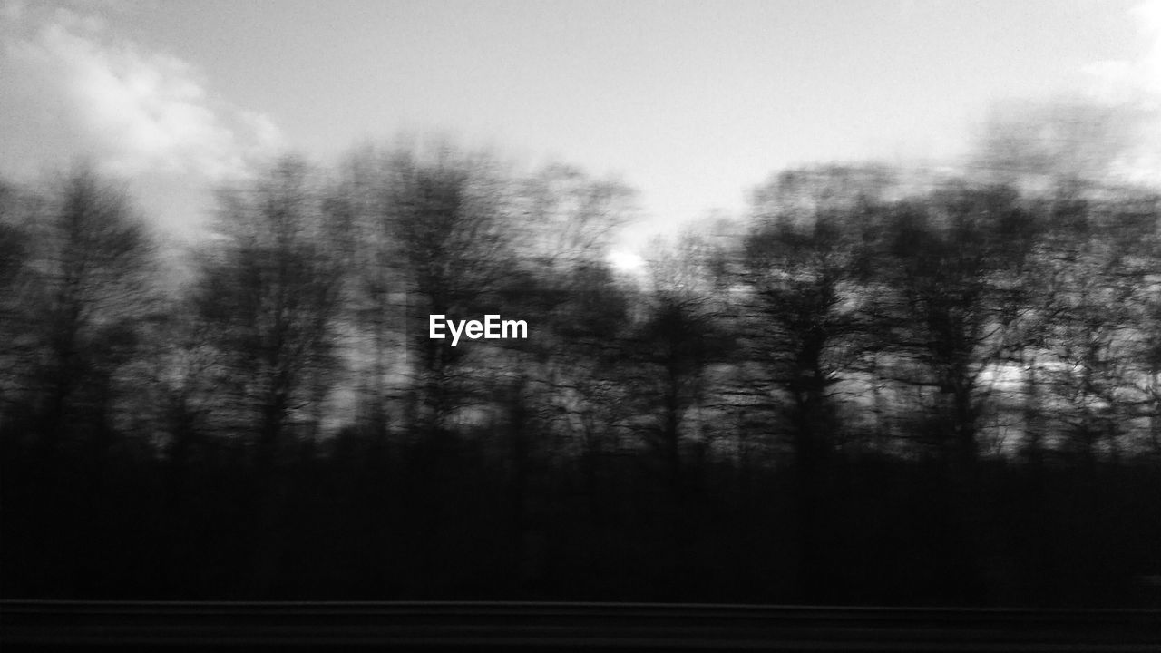 Blurred motion of silhouette bare trees seen through vehicle window