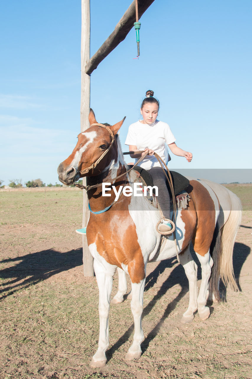 Girl sitting on horse against sky