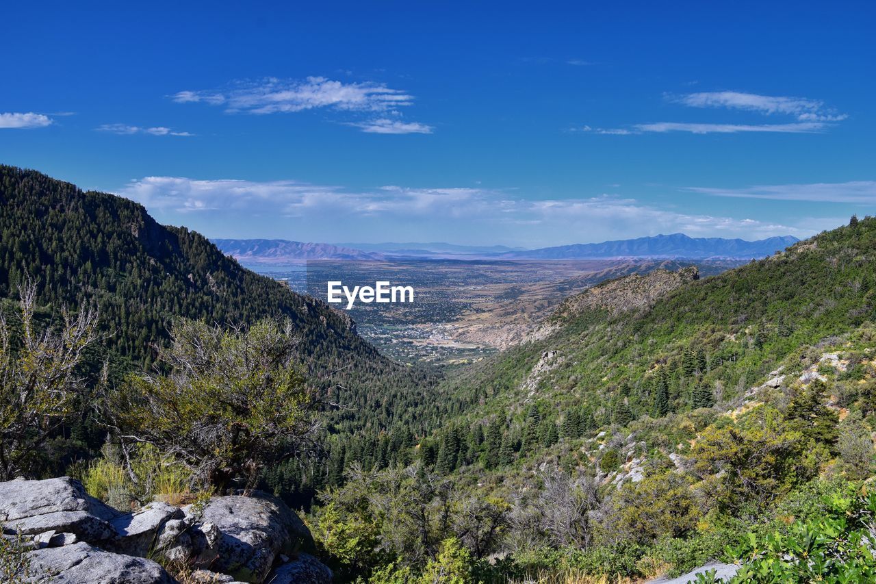 mountain, scenics - nature, environment, landscape, sky, wilderness, beauty in nature, plant, nature, tree, land, walking, adventure, pine tree, pinaceae, coniferous tree, mountain range, forest, travel destinations, pine woodland, rock, backpacking, travel, cloud, non-urban scene, no people, tranquility, ridge, tranquil scene, blue, outdoors, trail, tourism, valley, day, activity, plateau, idyllic, leisure activity, water, mountain pass, woodland, summer, remote, mountain peak