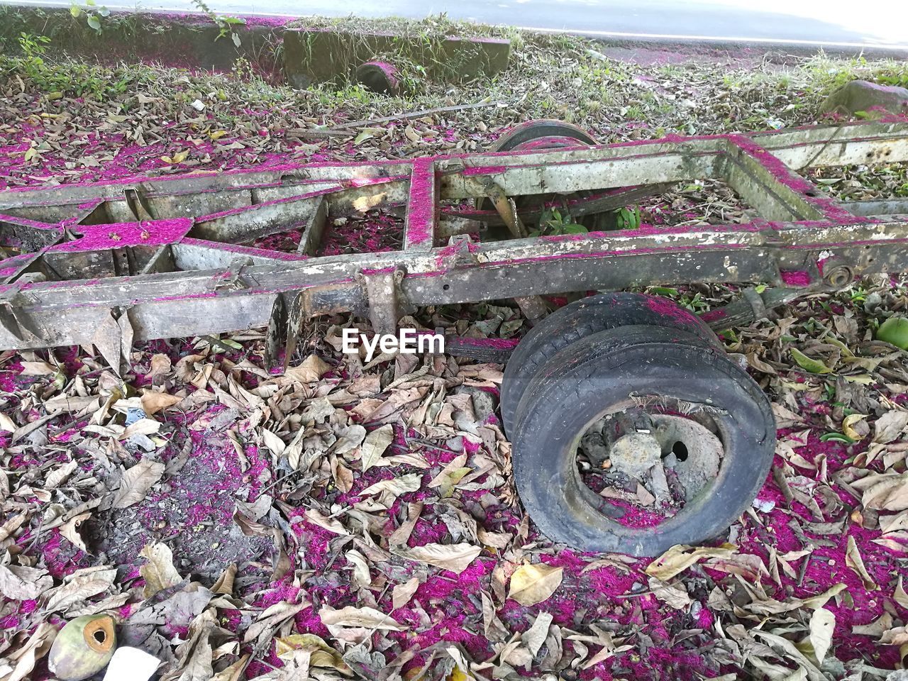 CLOSE-UP OF ABANDONED PURPLE FLOWERS ON FIELD