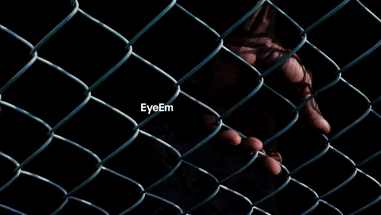 Close-up of person hand on chainlink fence